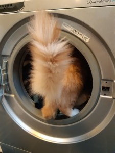 Trickle in the Washer