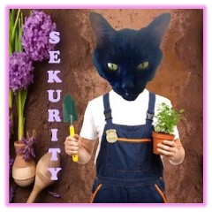 Nipclub March 26, 2026 Sekurity
